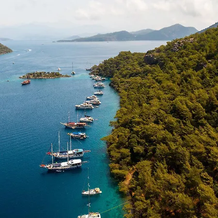 Oliv * Ölüdeniz